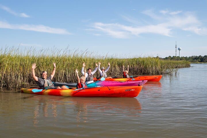 Folly Beach Dolphin Kayak Tour: Guided 2-Hour Paddle & Wildlife Safari photo 6