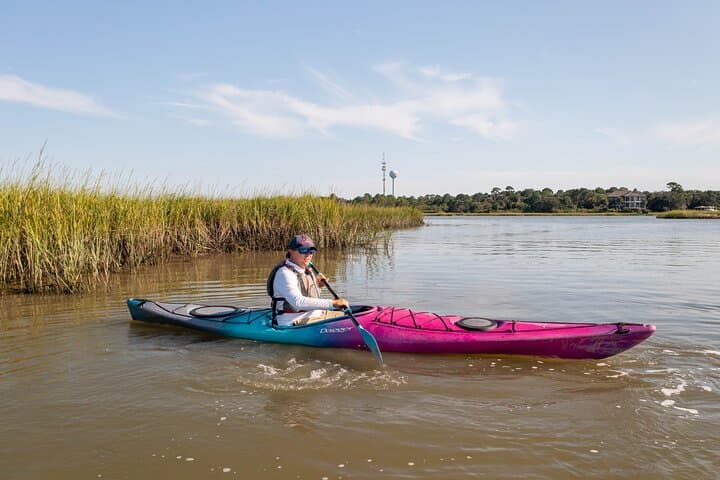 Folly Beach Dolphin Kayak Tour: Guided 2-Hour Paddle & Wildlife Safari photo 3