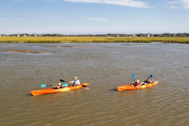 Folly Beach Dolphin Kayak Tour: Guided 2-Hour Paddle & Wildlife Safari photo 4