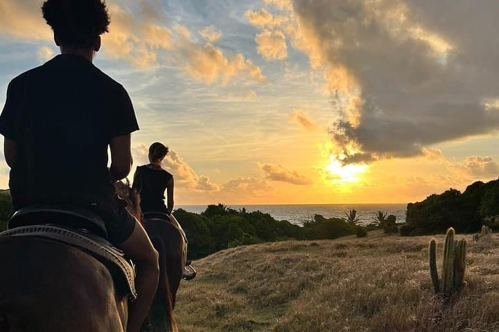Sunrise Horseback Beach Ride in St. Lucia — Private Early-Morning Tour with Sandy Hoofs photo 1
