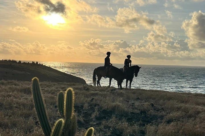 Sunrise Horseback Beach Ride in St. Lucia — Private Early-Morning Tour with Sandy Hoofs photo 2