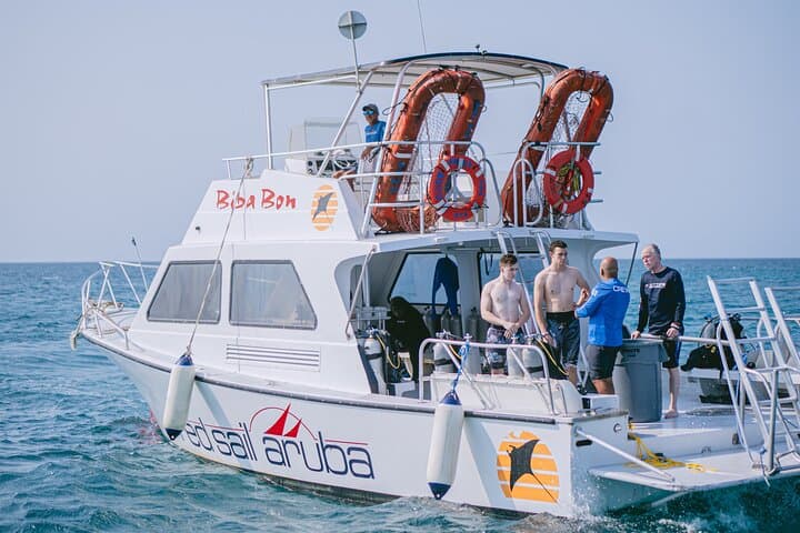 Aruba Night Dive: Guided Shipwreck & Shallow Reef Night Dive Experience photo 5