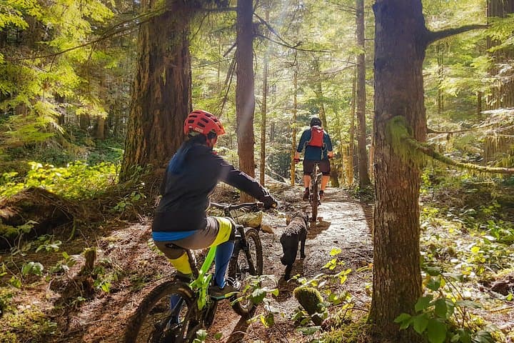 Squamish 4-Hour Guided Mountain Bike Tour — Sea-to-Sky Singletrack photo 5