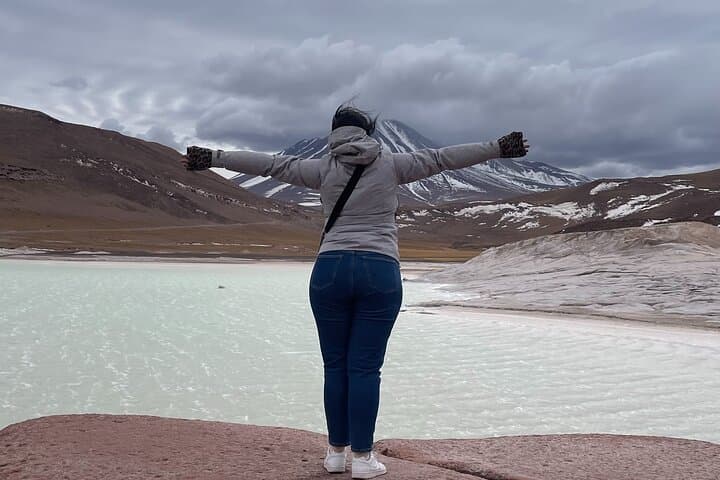 Altiplanic Lagoons & Piedras Rojas: Day Tour from San Pedro de Atacama photo 1