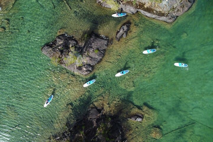 Gordon Bay SUP: 1.5-Hour Guided Paddleboard Tour on Cowichan Lake photo 3