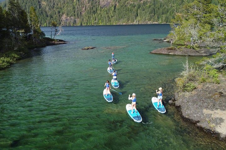 Gordon Bay SUP: 1.5-Hour Guided Paddleboard Tour on Cowichan Lake photo 5