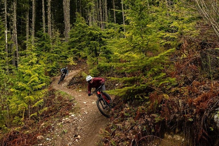 Squamish 4-Hour Guided Mountain Bike Tour — Sea-to-Sky Singletrack