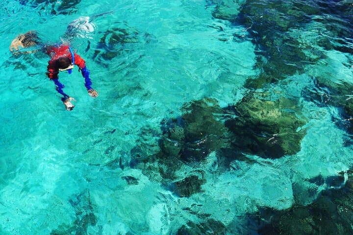 Bohol Balicasag Island Hopping & Dolphin Watching — Snorkel Coral Gardens and Spot Early-Morning Dolphins photo 4