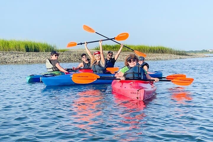 Hilton Head Dolphin Kayak Tour: Private 2¼-Hour Broad Creek Nature Experience
