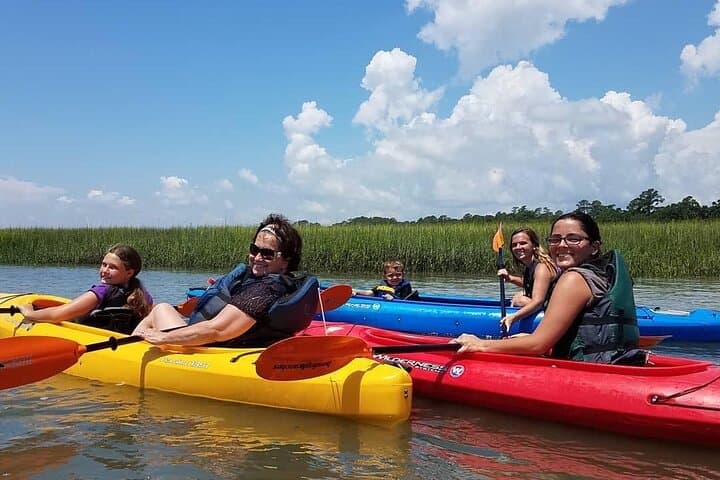 Hilton Head Dolphin Kayak Tour: Private 2¼-Hour Broad Creek Nature Experience photo 3