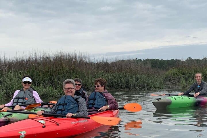 Hilton Head Dolphin Kayak Tour: Private 2¼-Hour Broad Creek Nature Experience photo 4