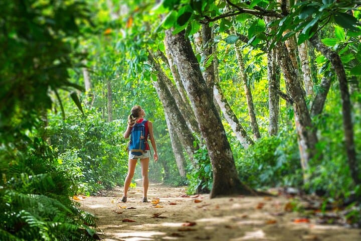 Carara National Park Day Visit — Birding & Wildlife on Costa Rica’s Central Pacific