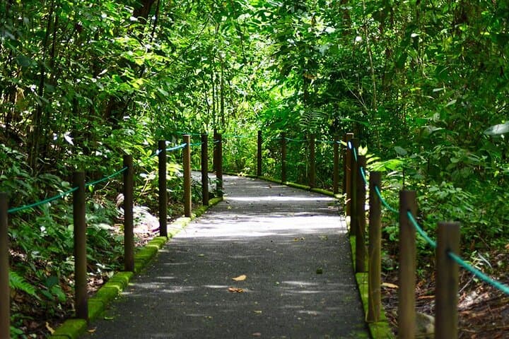 Carara National Park Day Visit — Birding & Wildlife on Costa Rica’s Central Pacific photo 3