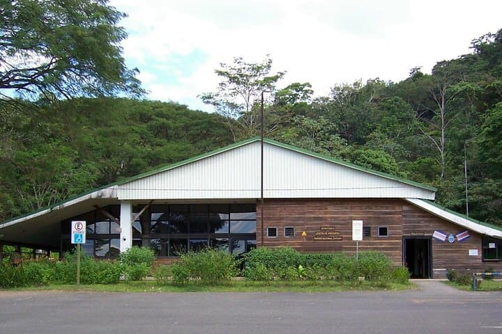 Carara National Park Day Visit — Birding & Wildlife on Costa Rica’s Central Pacific photo 4