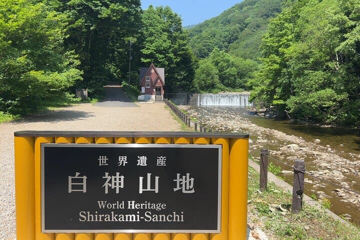 Shirakami Mountains Full-Day Hiking Tour: Anmon Falls & Ancient Beech Forest Trek