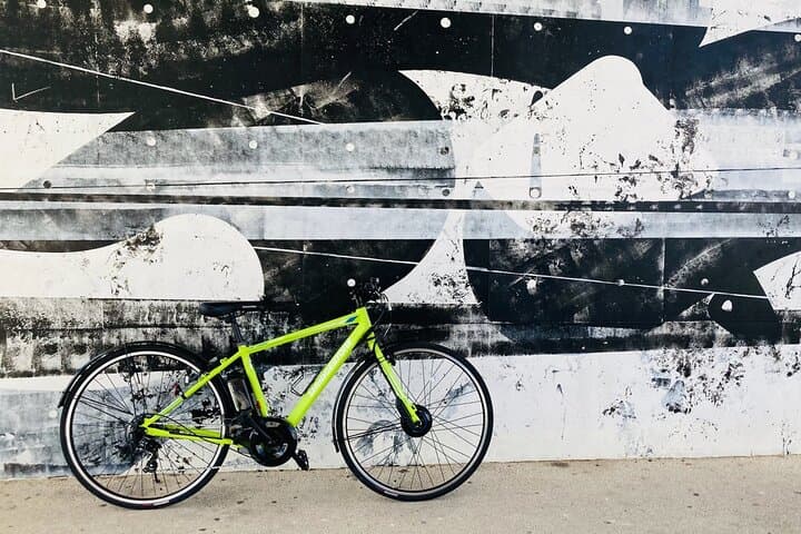 Explore Okinawa by E-Bike: Sporty Electric Bicycle Rental in Naha photo 4