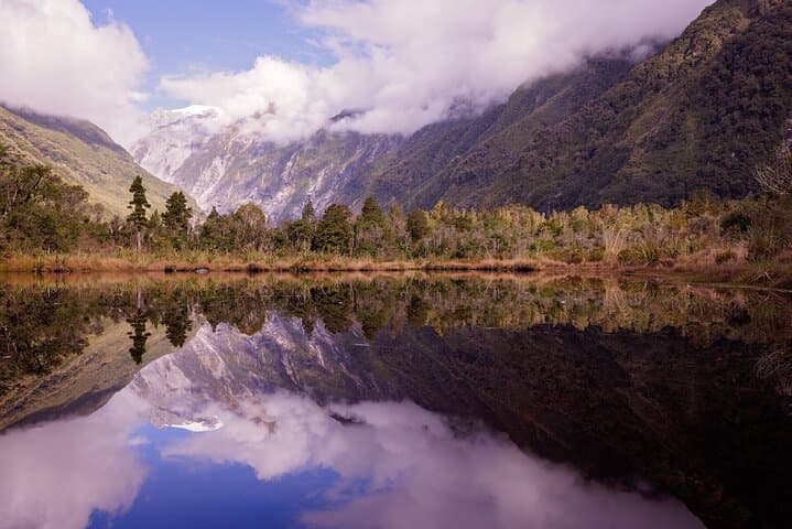 Franz Josef Nature Tour: Rainforest Walks & Glacier Valley Views photo 4