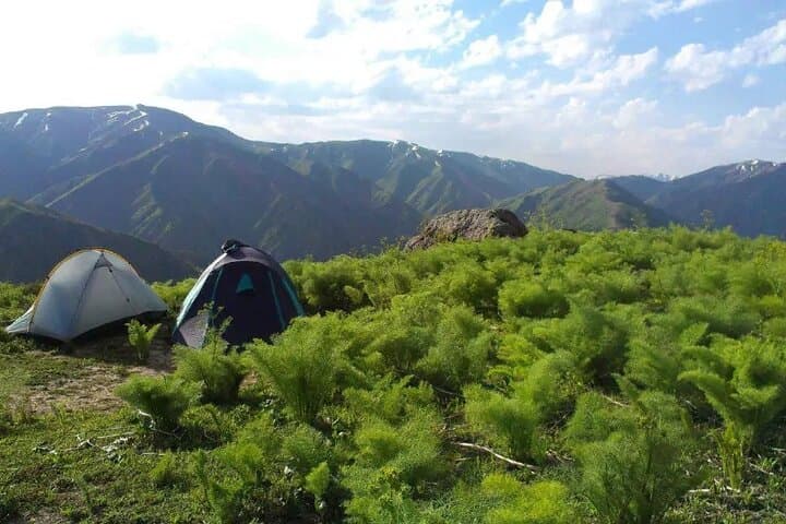 5-Day Chimgan Trekking Tour — Galvasay & Beldersay Valleys, Uzbekistan photo 2