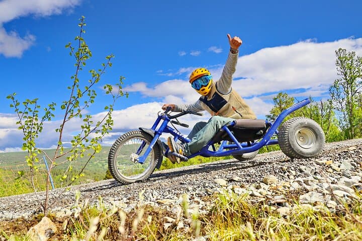 Racing Mountain Cart in Dagali: High-Speed Downhills Near Geilo