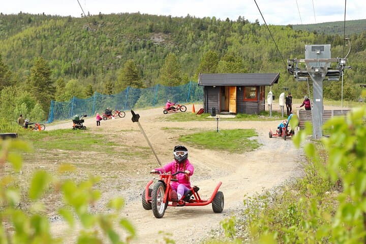 Racing Mountain Cart in Dagali: High-Speed Downhills Near Geilo photo 3