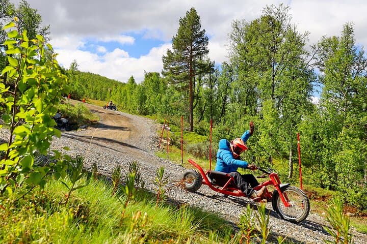 Racing Mountain Cart in Dagali: High-Speed Downhills Near Geilo photo 4
