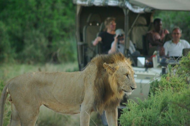Budget Masai Mara Safari: 2-Night Private Camp Adventure in Kenya photo 3
