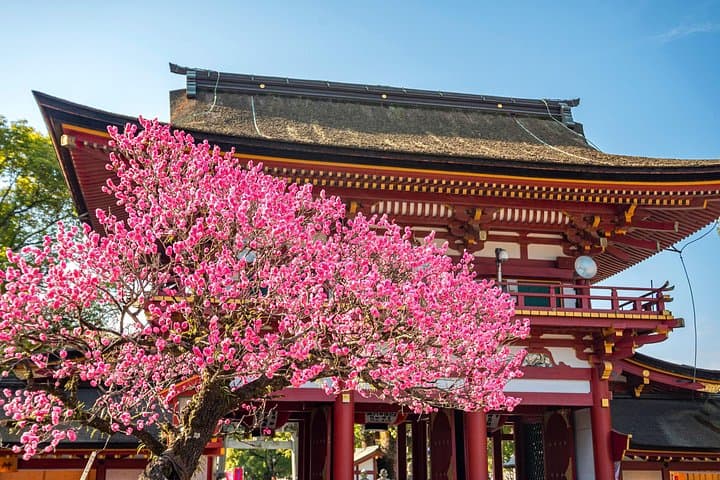 Dazaifu to Beppu & Yufuin: Private One-Day Cultural Onsen Tour photo 6
