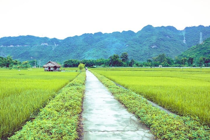 Mai Chau Nature Day Trip: Hidden Charm & Minority Villages from Hanoi photo 6