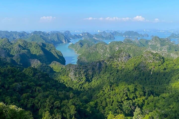 Cat Ba National Park Full-Day Trek and Kayak Adventure photo 2