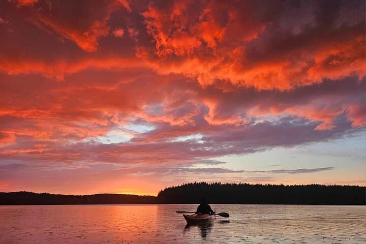 Sunset Kayak and Fika on Stockholm’s Mälaren photo 3