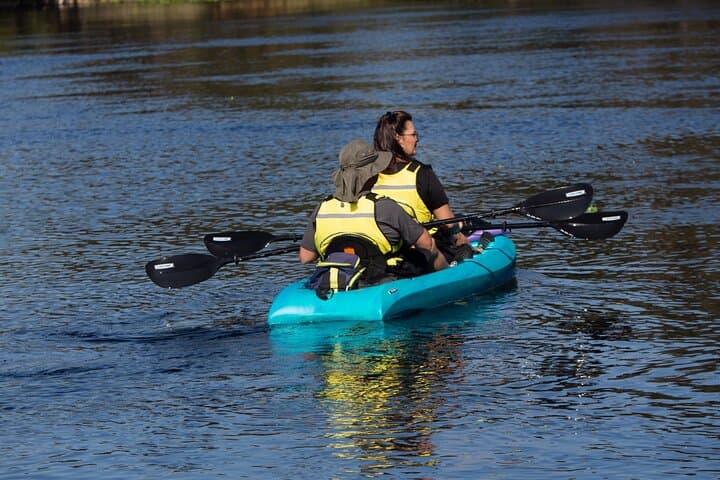 Blue Spring State Park Kayak Rental: Paddle the St. Johns Manatee Refuge (2-Hour) photo 5