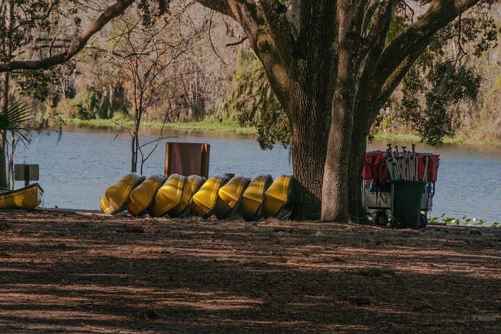 Blue Spring State Park Kayak Rental: Paddle the St. Johns Manatee Refuge (2-Hour) photo 6