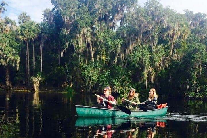 Blue Spring State Park Kayak Rental: Paddle the St. Johns Manatee Refuge (2-Hour) photo 2