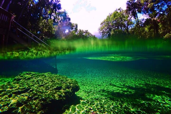 Blue Spring State Park Kayak Rental: Paddle the St. Johns Manatee Refuge (2-Hour) photo 4