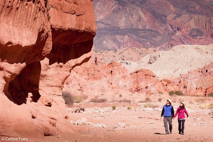 Cafayate & Quebrada de las Conchas Full-Day Tour from Salta — Wine, Red Rock Formations and Valley Views photo 2