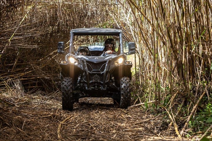 Porto Buggy Adventure: Off-Road Tour to Monte Mozinho & Quintandona photo 2