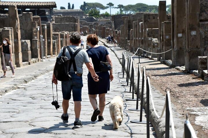 Skip-the-Line Pompeii Half-Day Tour with Archaeologist Guide photo 4