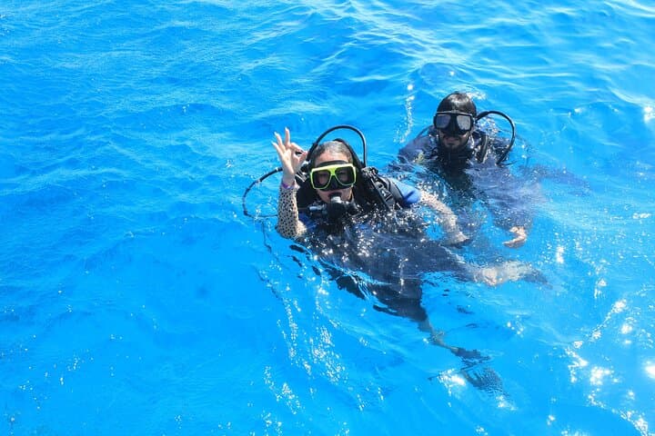 PADI Scuba Diver Intro in Sharm el-Sheikh: Red Sea Day Dive Experience photo 2