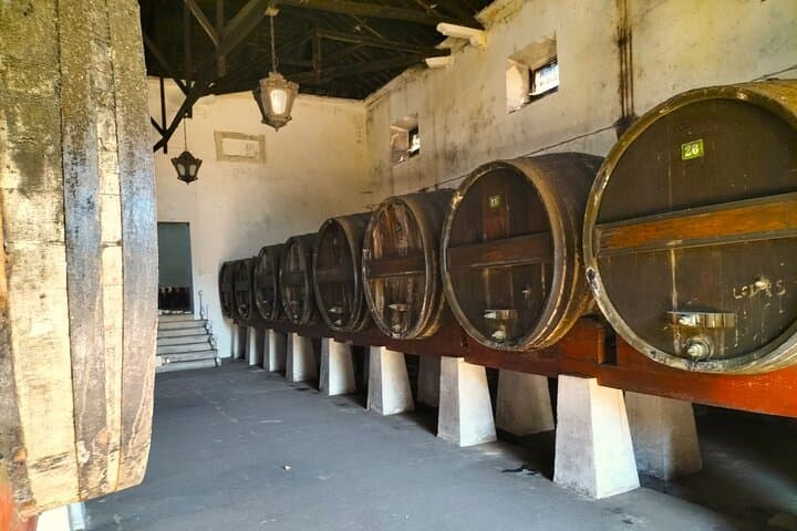 Lisbon 4WD Winery Tour — Half-Day Wine Tasting in Alenquer & Torres Vedras photo 5