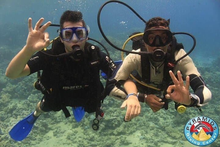 PADI Scuba Diver Intro in Sharm el-Sheikh: Red Sea Day Dive Experience photo 6