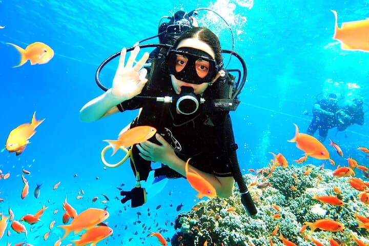 PADI Open Water Diver Course in Sharm el-Sheikh — 3-Day Red Sea Certification photo 3