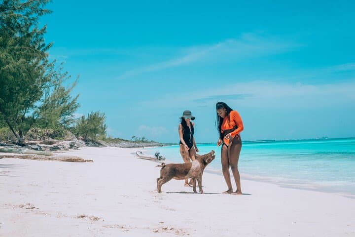 Private Nassau Boat Tour: Swimming Pigs, Snorkel Reefs & Lunch on Rose Island photo 3