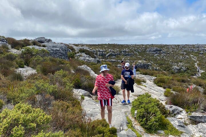 Full-Day Cape Town Tour: Table Mountain, Boulders Beach Penguins & Cape Point photo 2