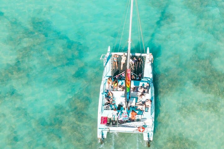 Sail Dakhla Bay: Catamaran Trip to Dragon Island for Flamingos & Dolphins