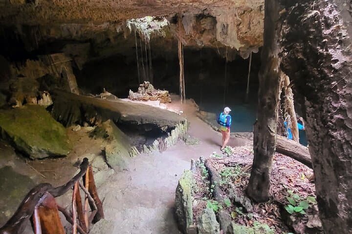 Private 5-Cenote Explorer: Snorkel & Swim in the Riviera Maya Jungle photo 5