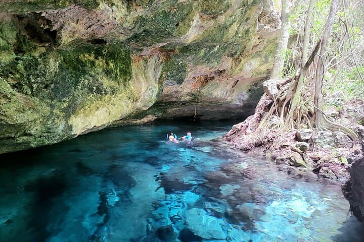 Private 5-Cenote Explorer: Snorkel & Swim in the Riviera Maya Jungle photo 3