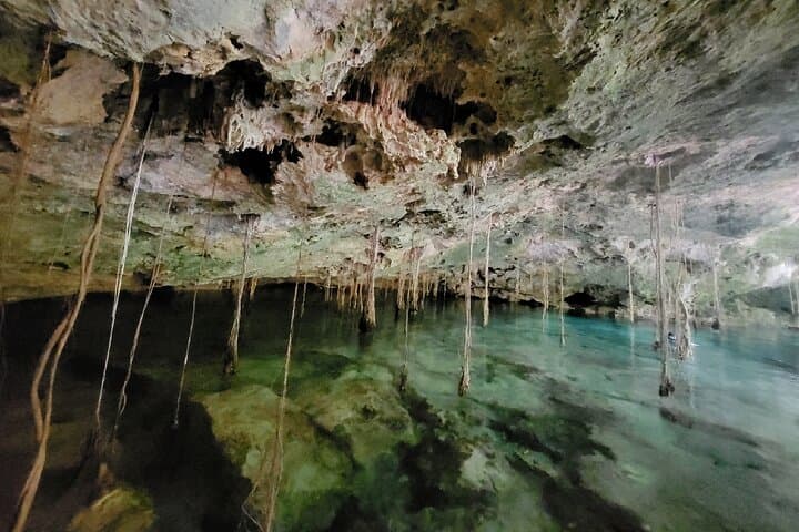 Private 5-Cenote Explorer: Snorkel & Swim in the Riviera Maya Jungle photo 6