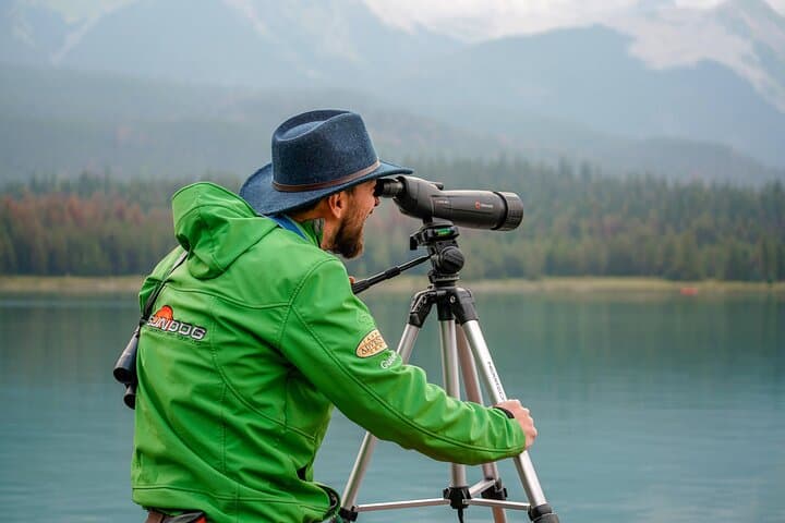 Evening Wildlife Tour in Jasper National Park — Spot Elk, Moose & Wolves photo 6