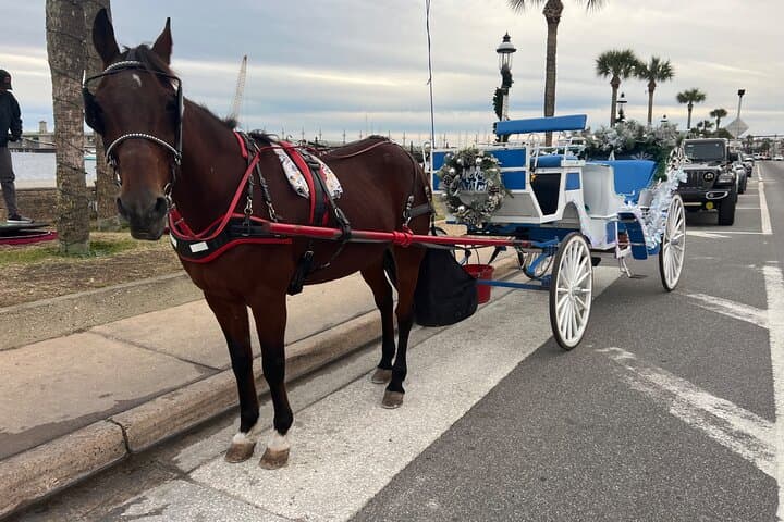 St. Augustine Classic Horse-Drawn Carriage Tour: Historic Downtown Ride