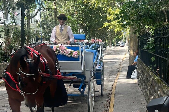 St. Augustine Classic Horse-Drawn Carriage Tour: Historic Downtown Ride photo 2
